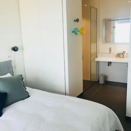 Standing- Face A La Mer! 3 Chambres-piscine Semi Olympique Lejlighed