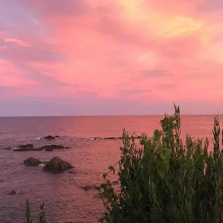 Apartmán Standing- Face A La Mer! 3 Chambres-piscine Semi Olympique