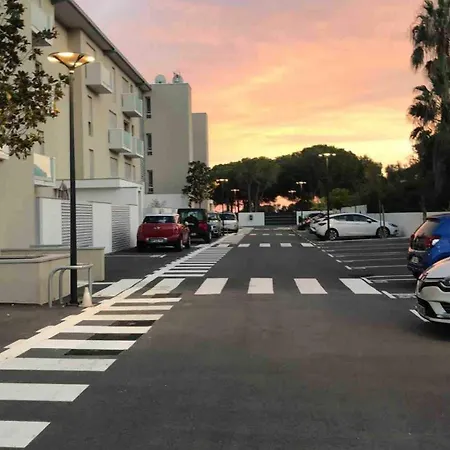 Standing- Face A La Mer! 3 Chambres-piscine Semi Olympique Lejlighed *