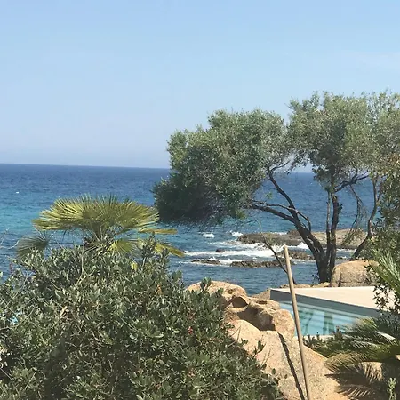 Standing- Face A La Mer! 3 Chambres-piscine Semi Olympique Lejlighed *